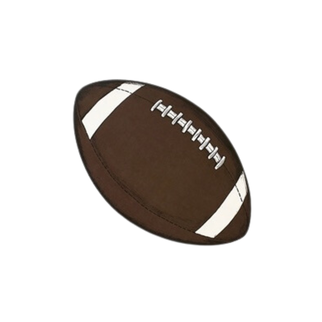 Football Placemats Pink Antlers