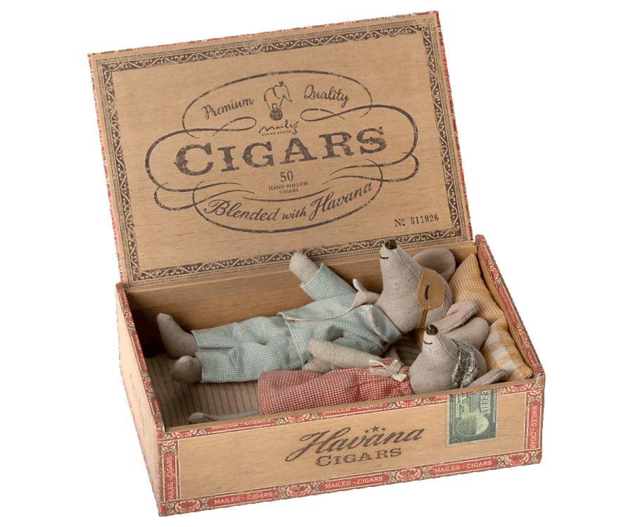Mum & Dad Mice in Cigar Box