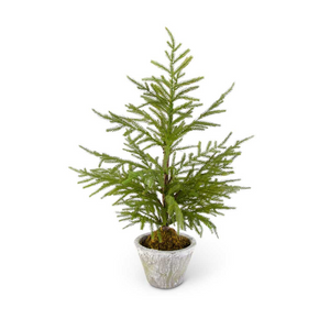 
            
                Load image into Gallery viewer, 28&amp;quot; Pine Tree in Pot
            
        