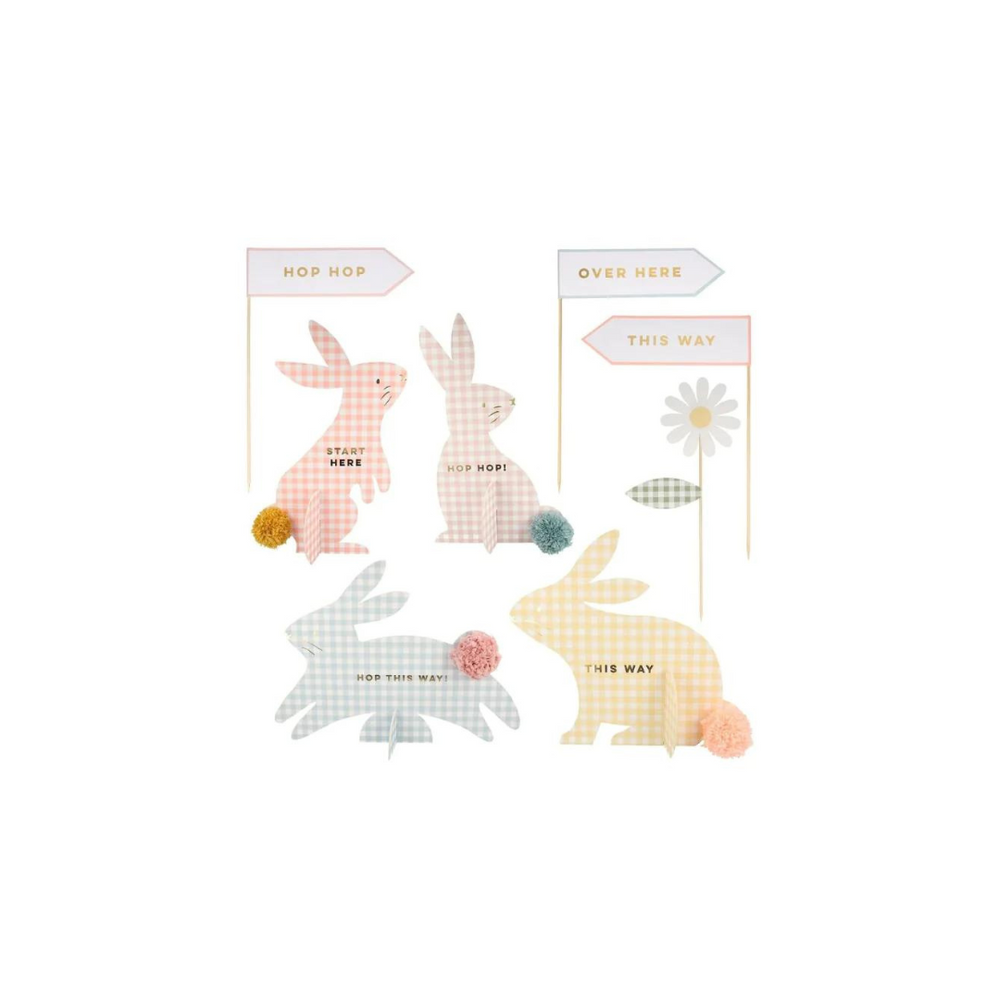 
            
                Load image into Gallery viewer, Gingham Bunnies Egg Hunt Kit
            
        