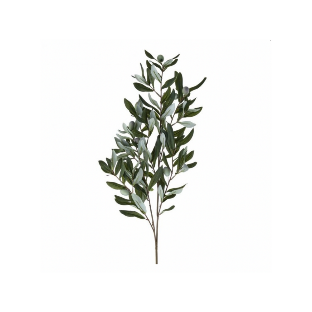 38" Olive Branch