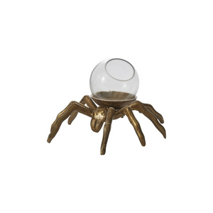 
            
                Load image into Gallery viewer, Arachnid Terrarium
            
        