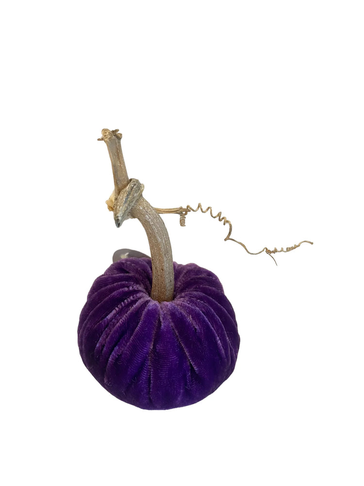 Violet Velvet Pumpkin