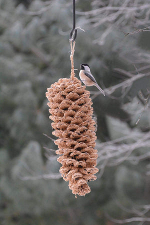 
            
                Load image into Gallery viewer, Large Birdseed Pinecone
            
        