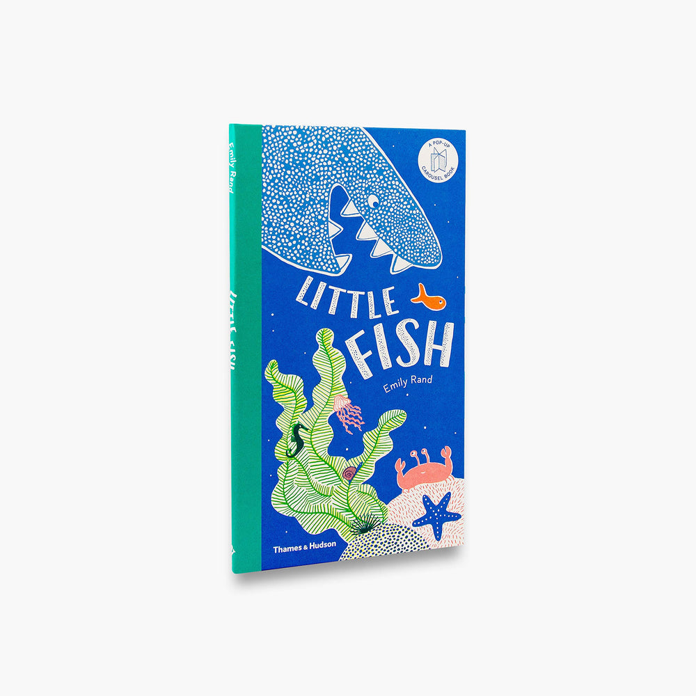 Little Fish Book