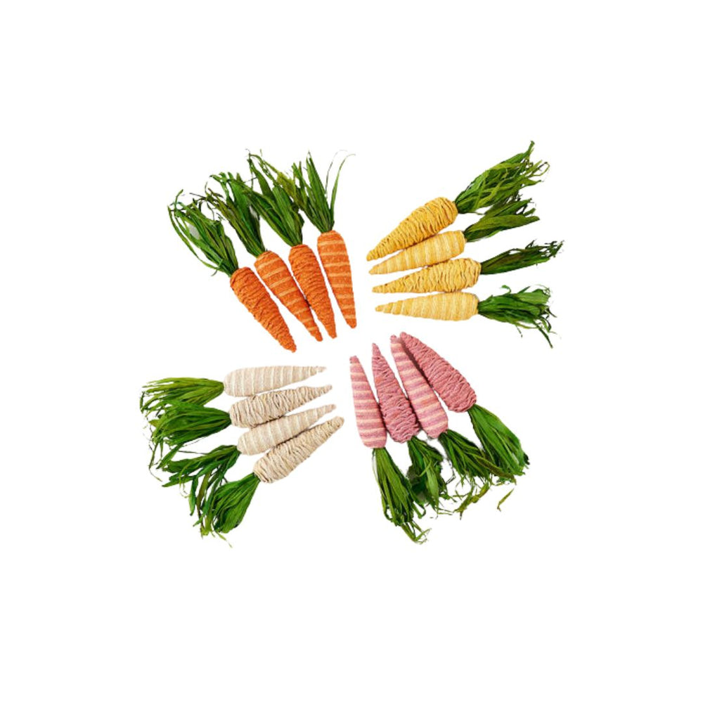 Colorful Carrots, set of 4