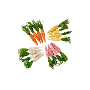Colorful Carrots, set of 4