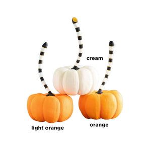 
            
                Load image into Gallery viewer, Orange &amp;amp; Cream Pumpkin, Large
            
        