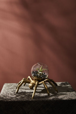 
            
                Load image into Gallery viewer, Arachnid Terrarium
            
        