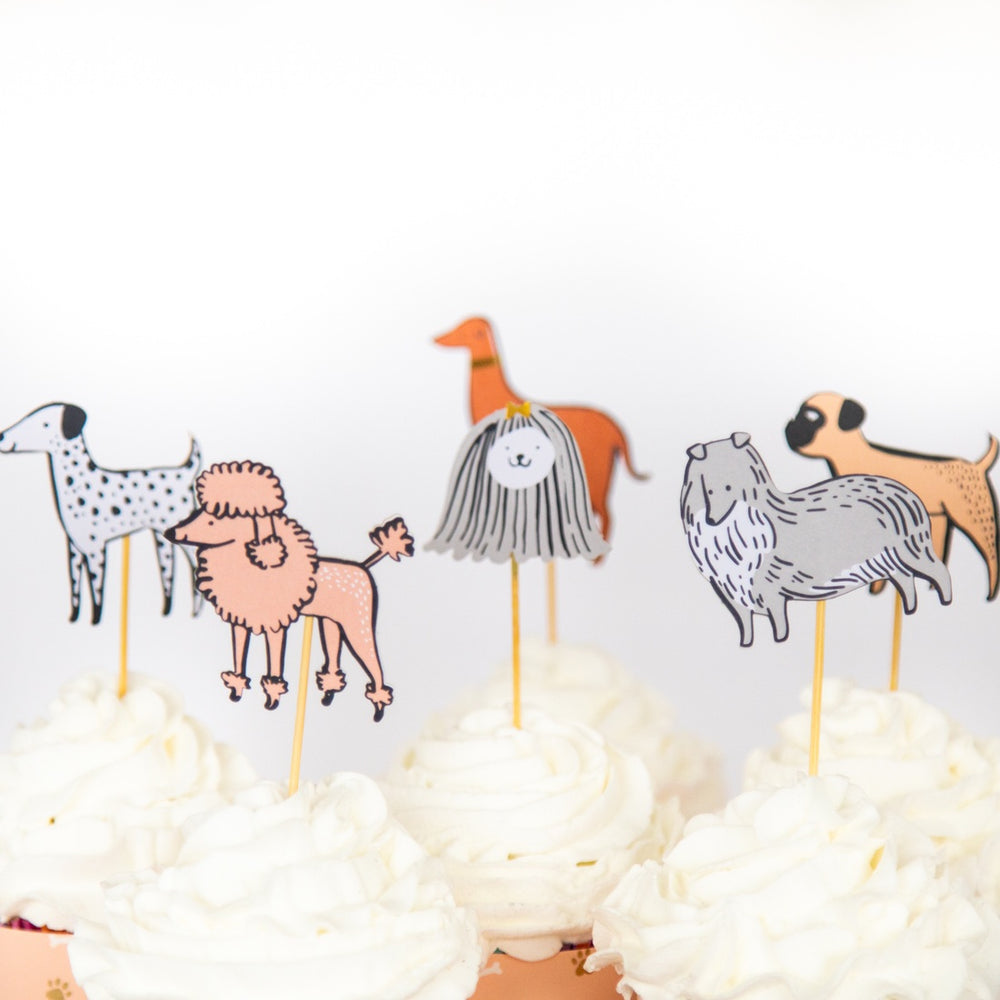 
            
                Load image into Gallery viewer, Bow Wow Cupcake Kit
            
        